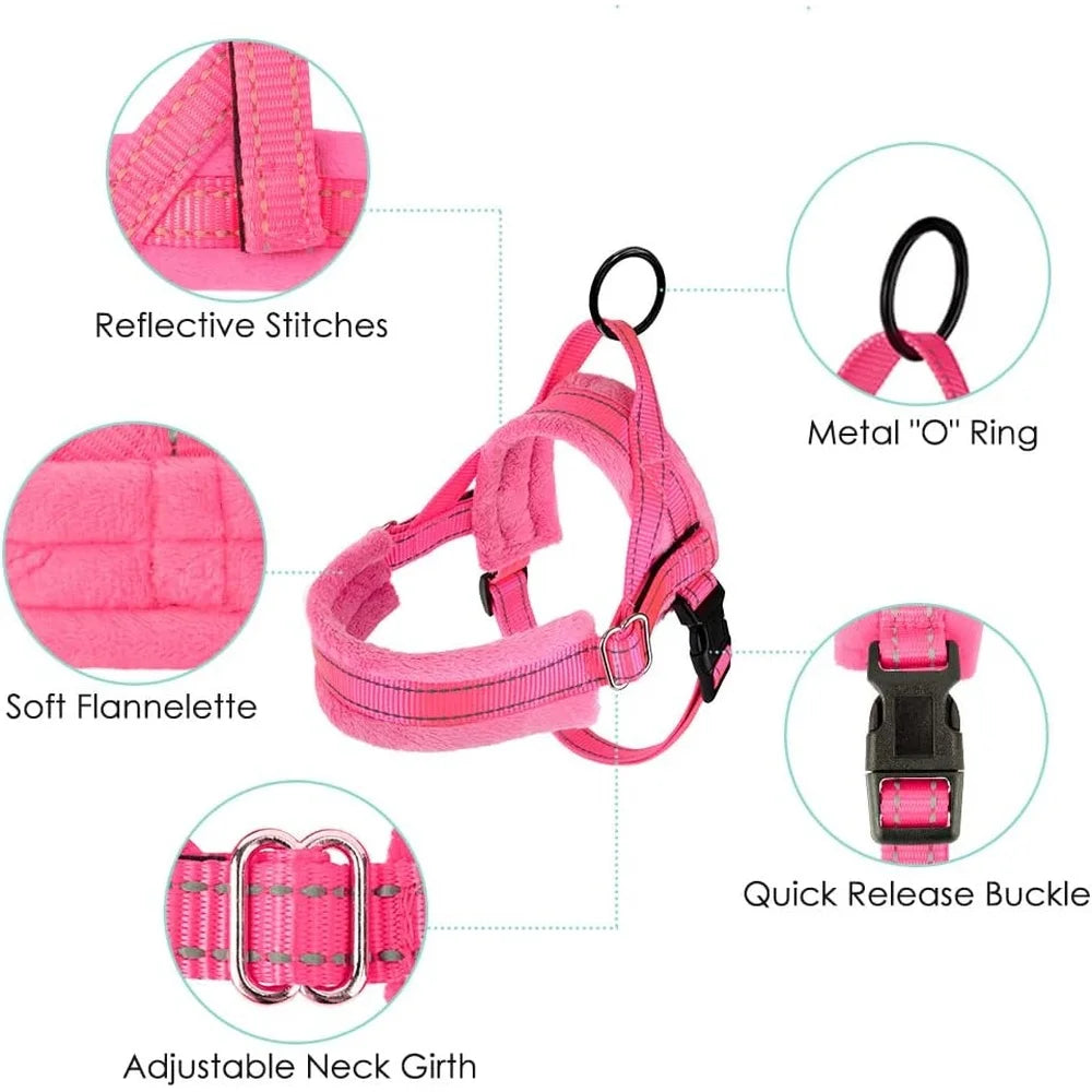 Soft Padded Dog Harness Leash Set Adjustable 4ft Leash