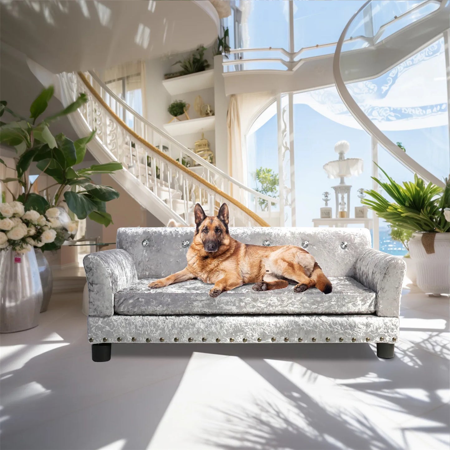 BingoPaw Large Dog Sofa Bed Jumbo Dog Velvet -