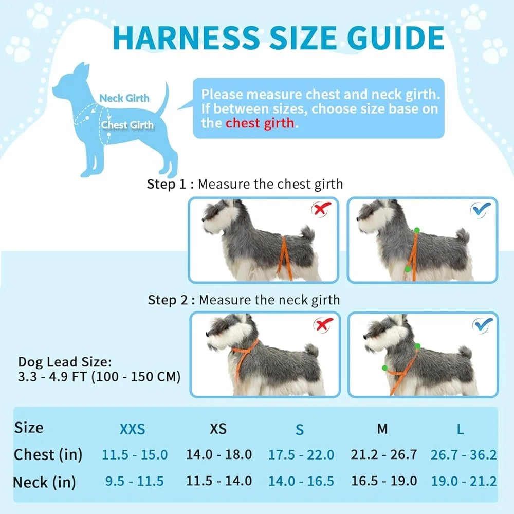 Soft Padded Dog Harness Leash Set Adjustable 4ft Leash
