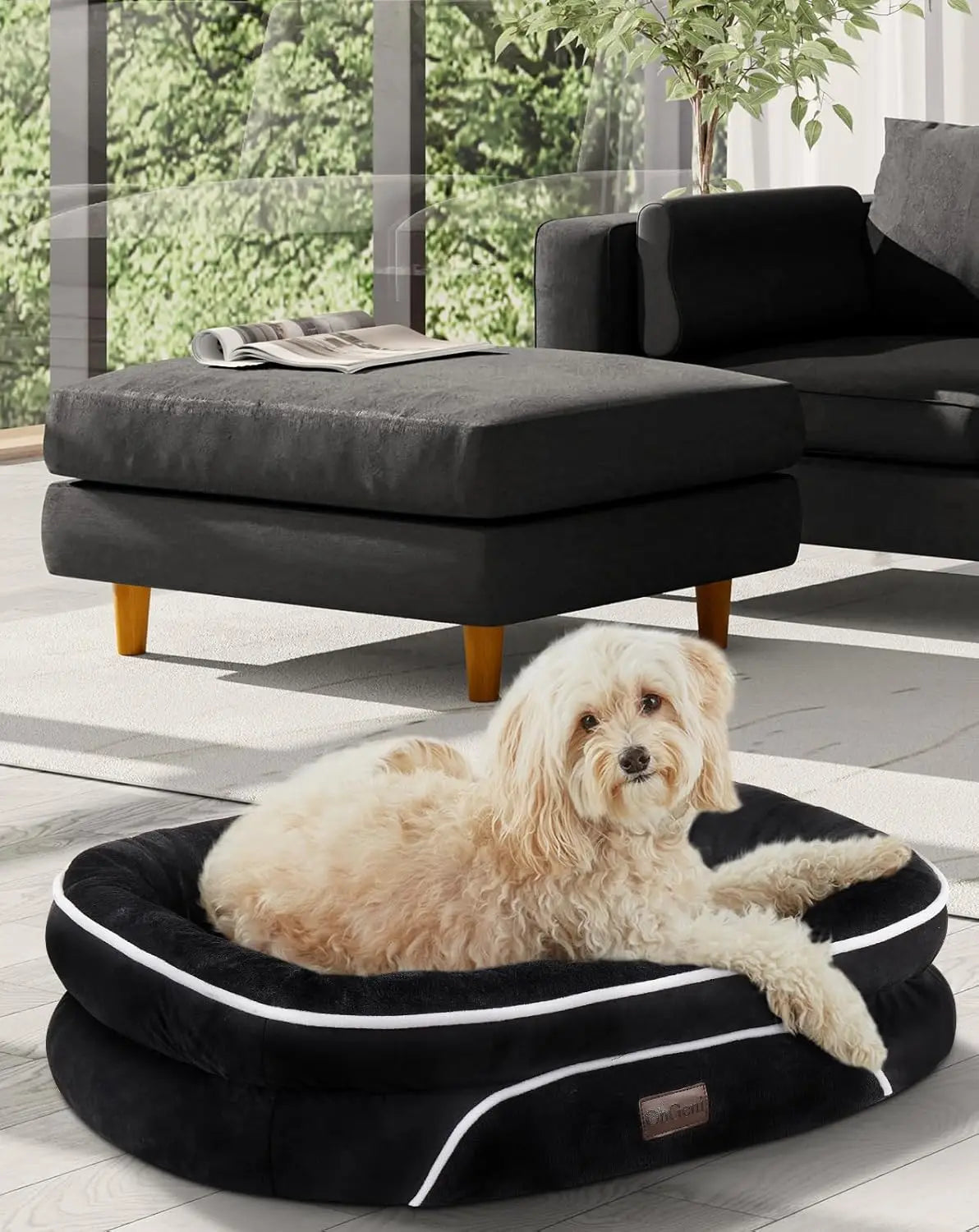 Dog Bed Couch for Large Sized Pets with Egg Foam Support,