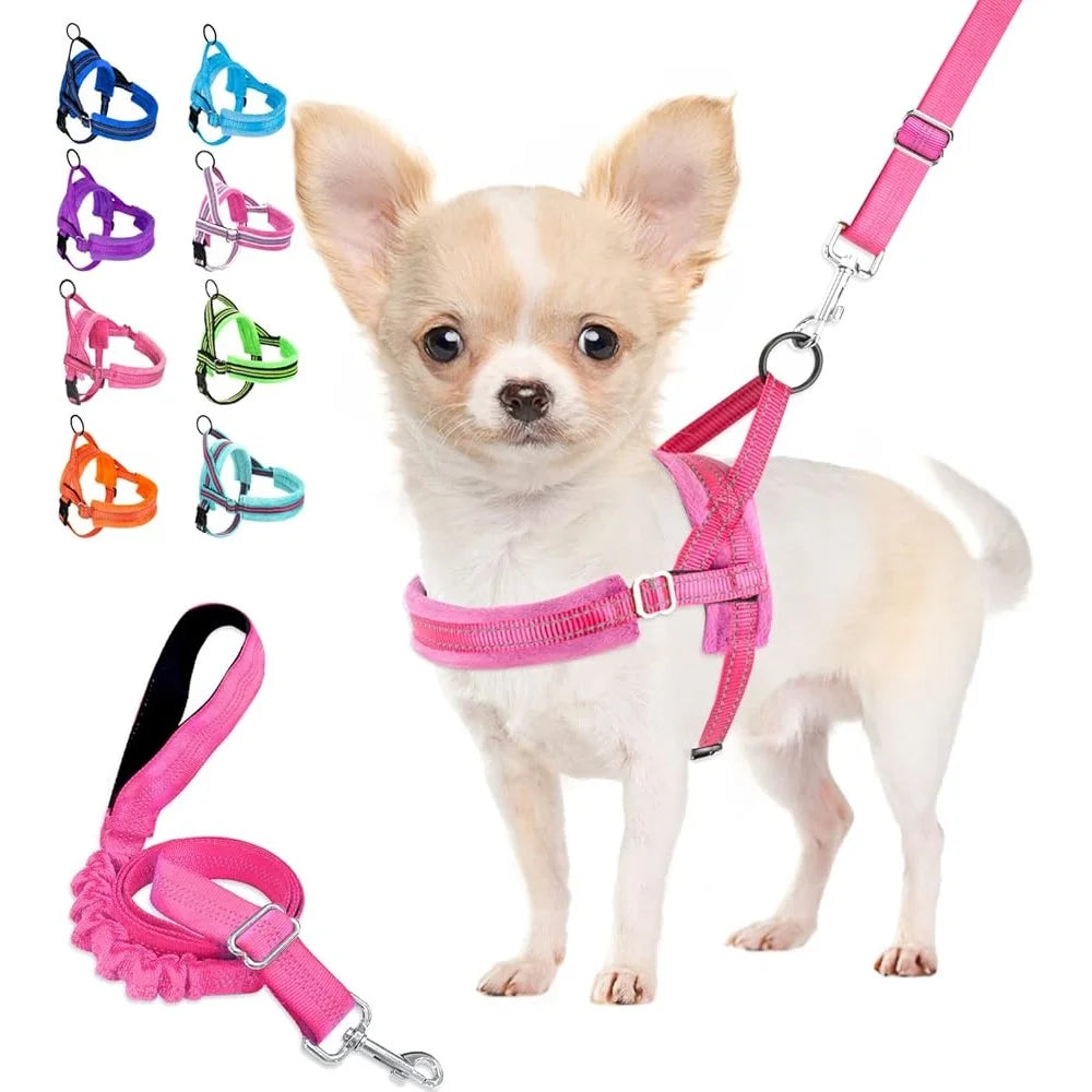 Soft Padded Dog Harness Leash Set Adjustable 4ft Leash