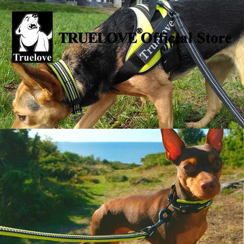 Truelove Pet Dog /Cat Collar Nylon Adjustable Padded Soft Reflective