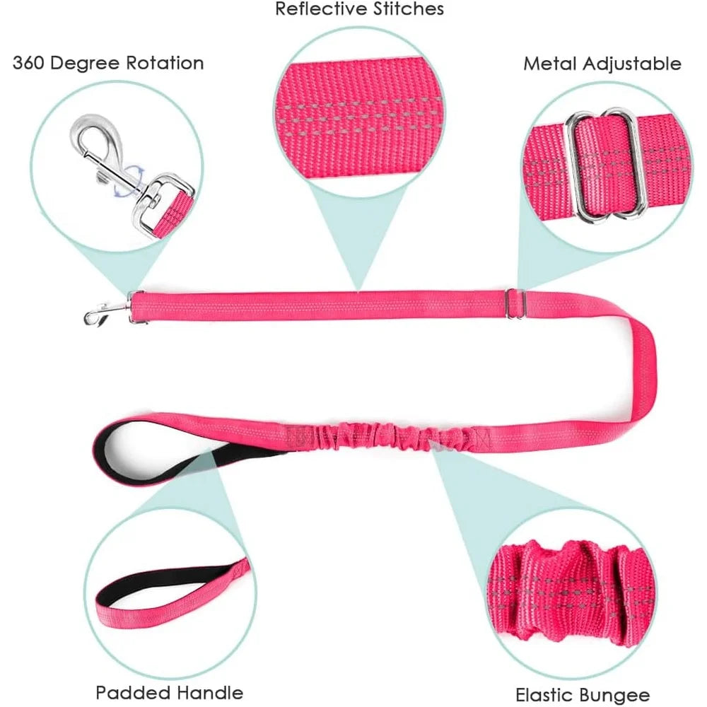 Soft Padded Dog Harness Leash Set Adjustable 4ft Leash