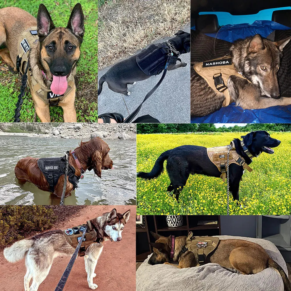 Large Dog Harness Collar Leash Bags Patches Set Training Vests Tactical Dogs