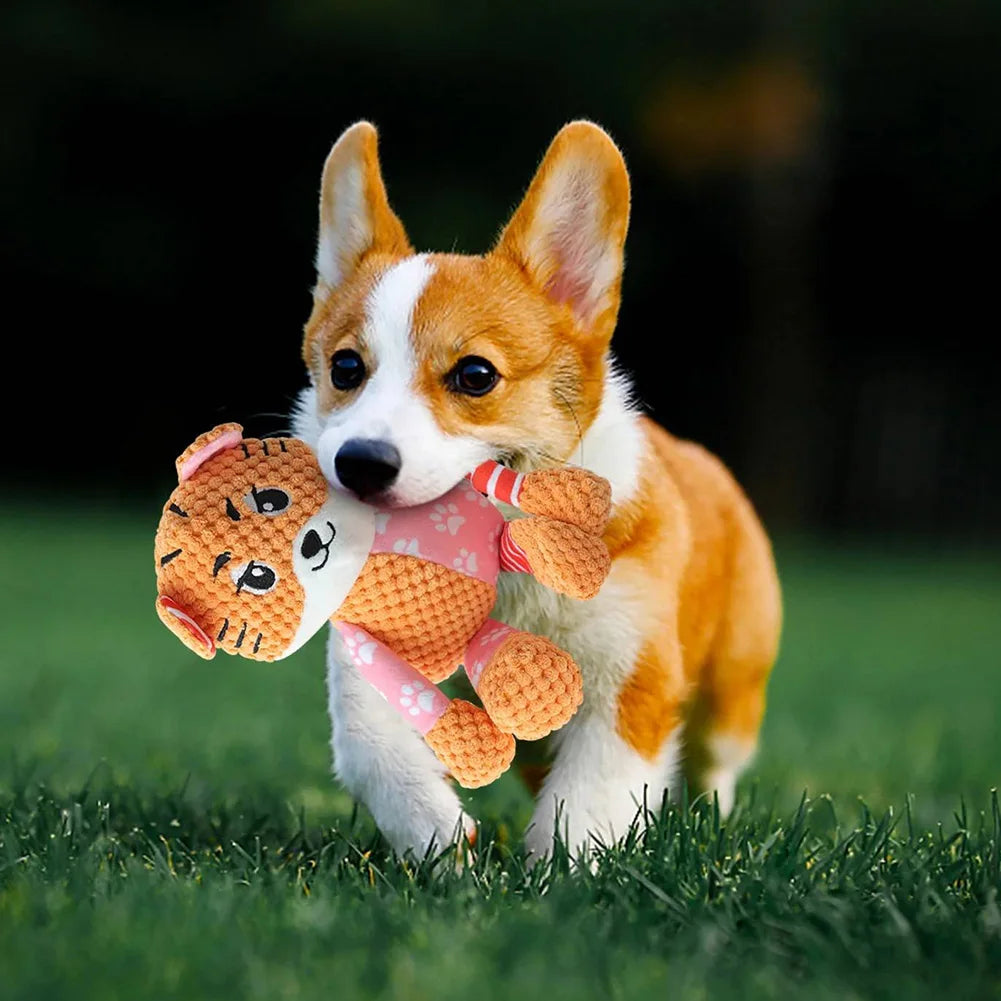 Squeaky Dog Toys Dog Plush