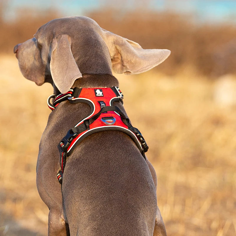 Truelove Pet Reflective Nylon Dog Harness No Pull