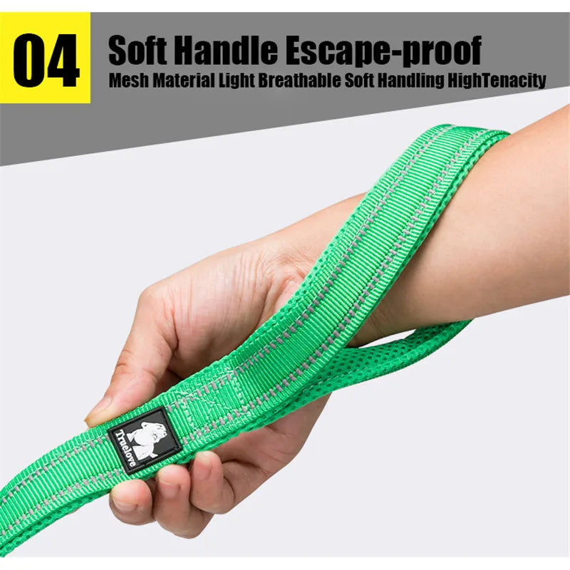 Truelove Soft Pet Leash Reflective Nylon Mesh