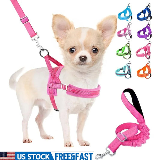 Soft Padded Dog Harness Leash Set Adjustable  4ft Leash