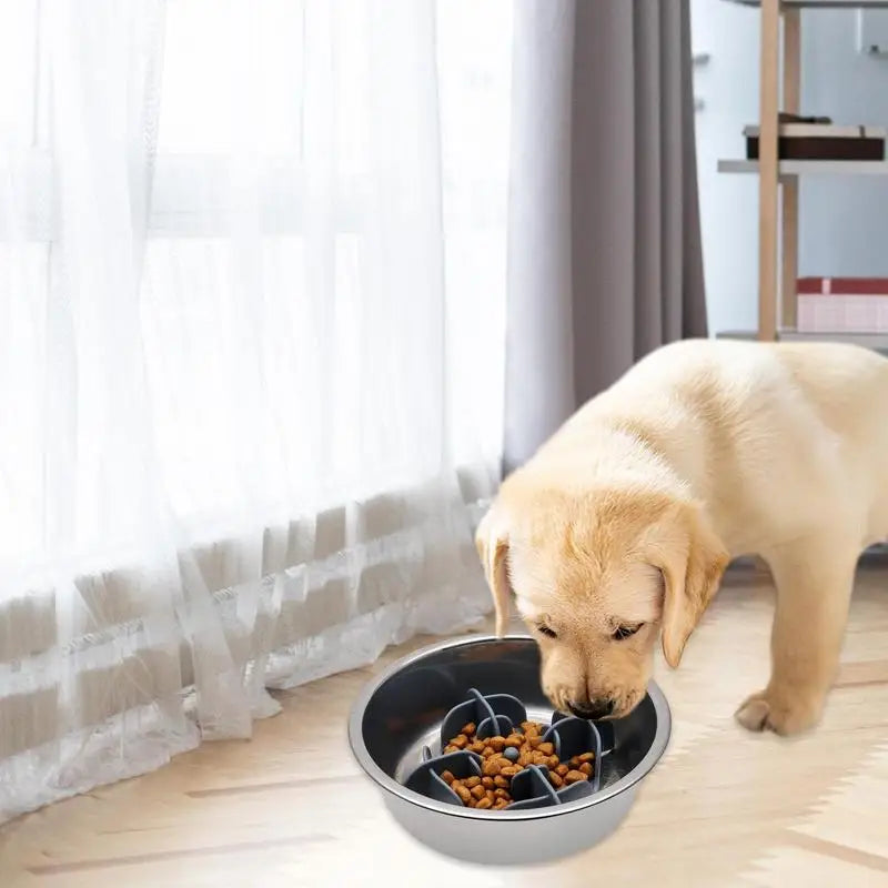 Silicone Pet Bowl Slow Feeder  Large Breed