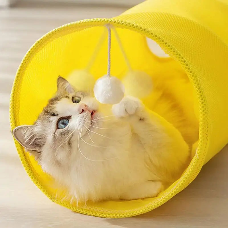 Cat play tunnel