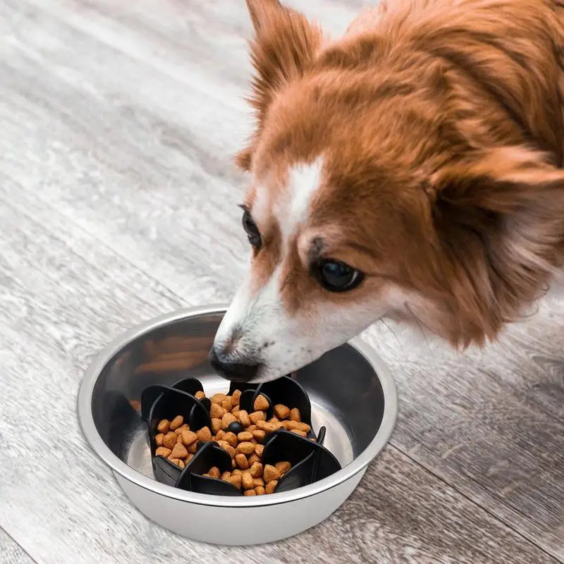 Silicone Pet Bowl Slow Feeder  Large Breed