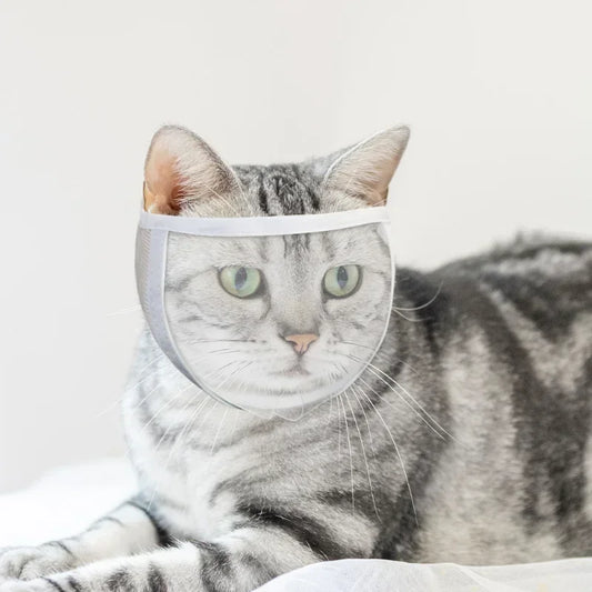Cat Muzzle Clear Breathable