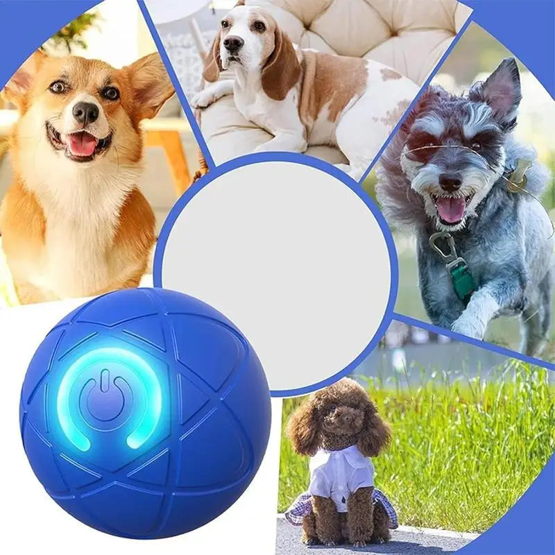 Active Rolling Ball for Dogs USB Interactive Dog Ball  with LED Light