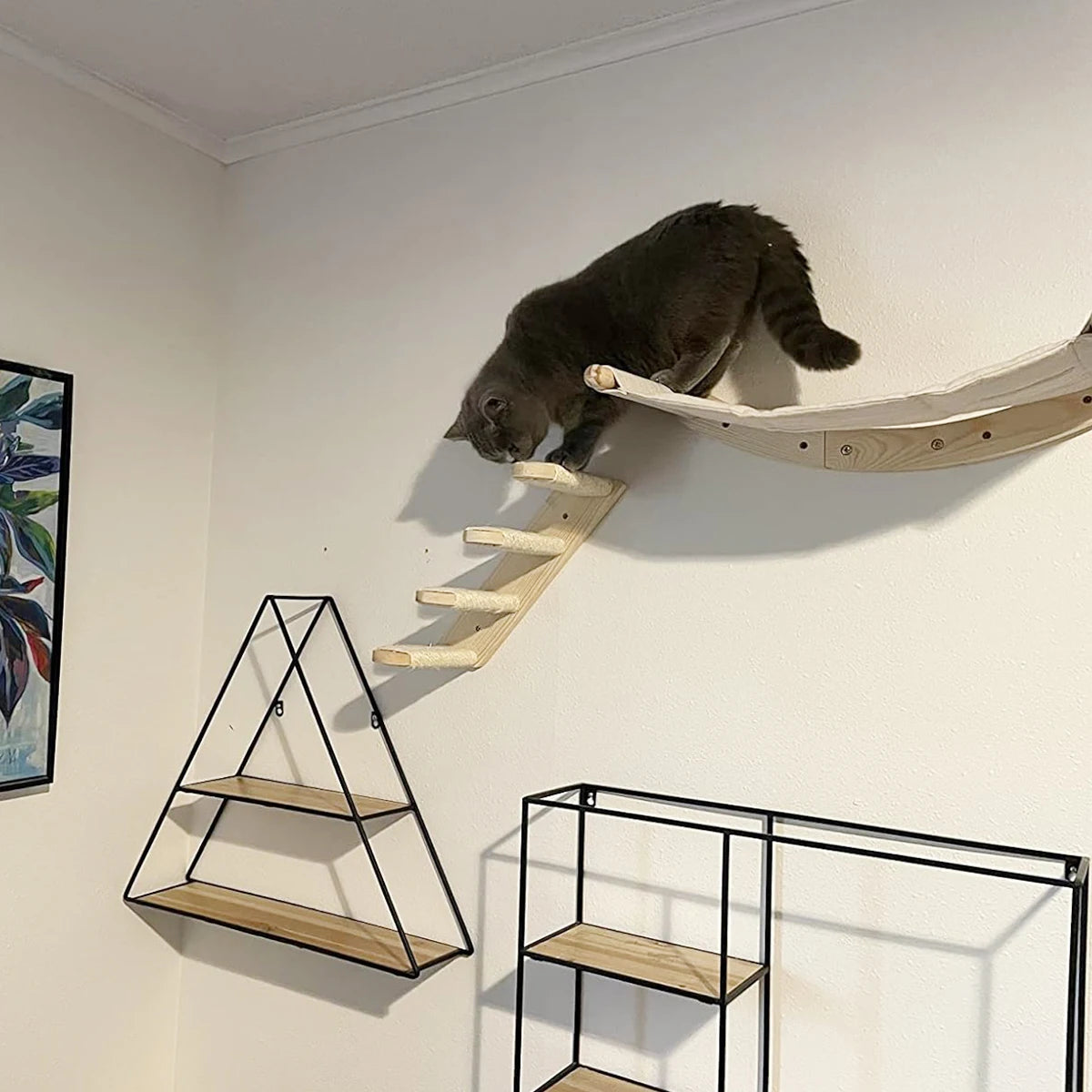 Cat Wall  Climbing Shelf Wall Mounted Steps Stairway