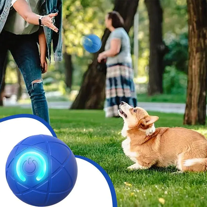 Active Rolling Ball for Dogs USB Interactive Dog Ball  with LED Light