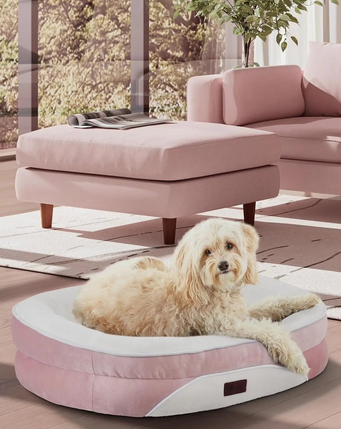 Dog Bed Couch for Large Sized Pets with Egg Foam Support,