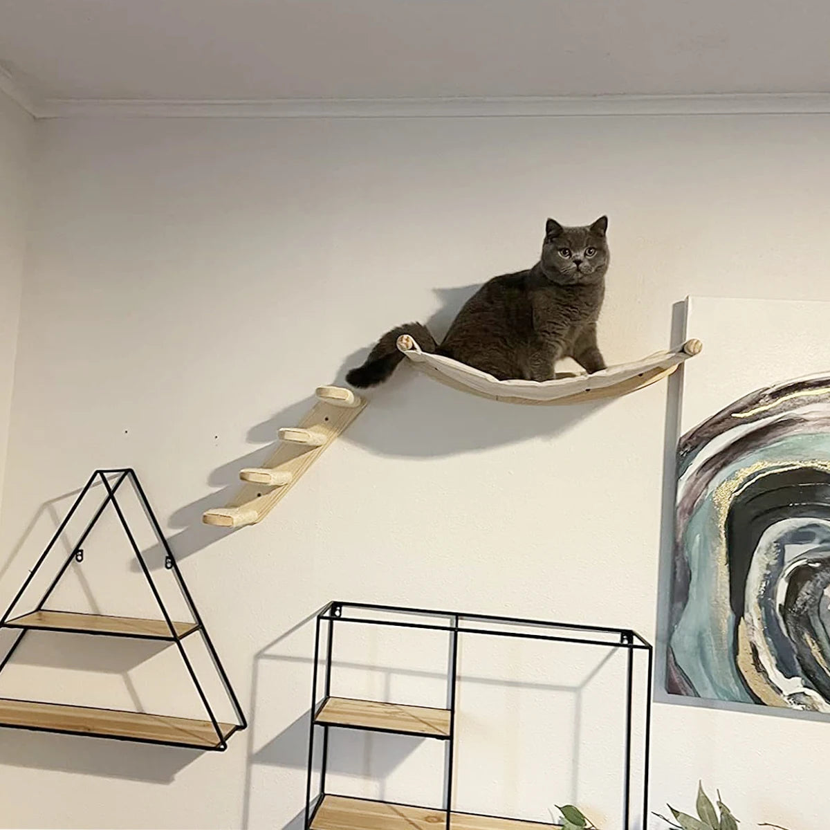 Cat Wall  Climbing Shelf Wall Mounted Steps Stairway