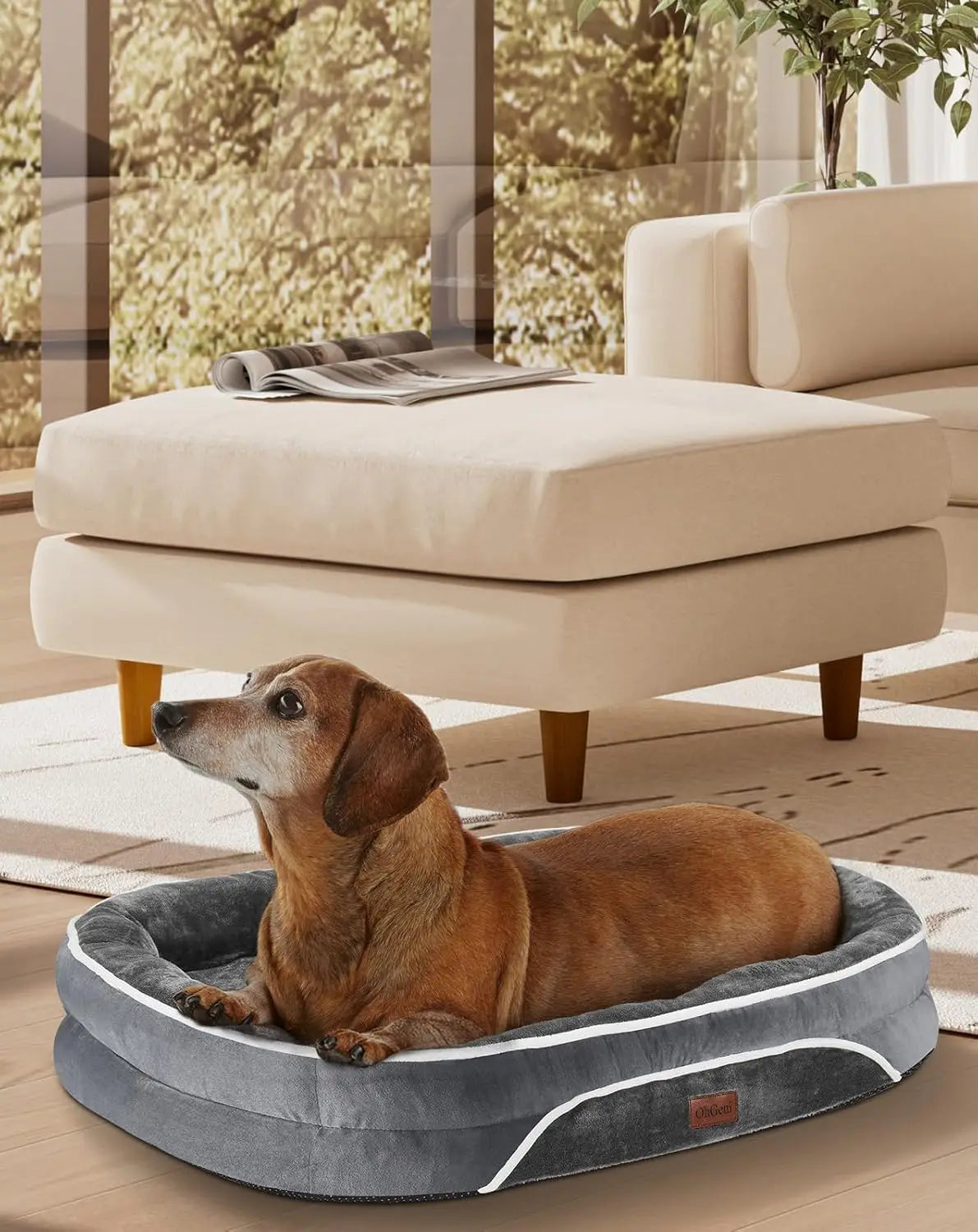 Dog Bed Couch for Large Sized Pets with Egg Foam Support,