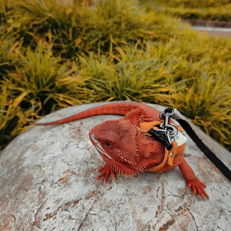 Lizard Adjustable PULeather Harness