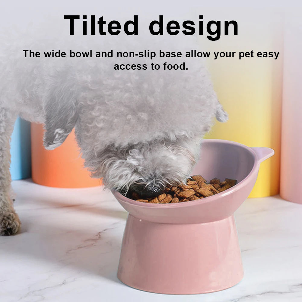 Tilted Cat Food Bowl  Ergonomic Raised