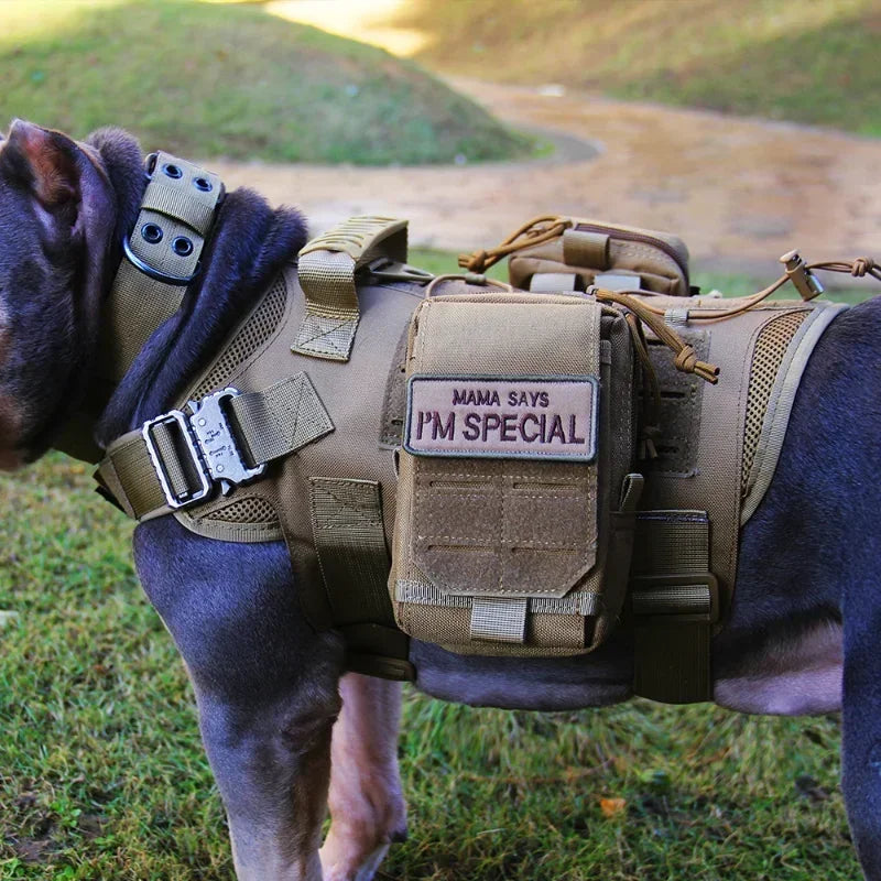 Military Large Dog Harness And Leash Set