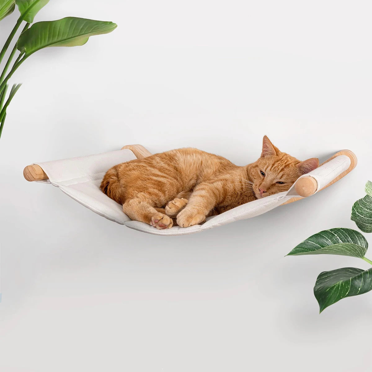 Cat Wall  Climbing Shelf Wall Mounted Steps Stairway