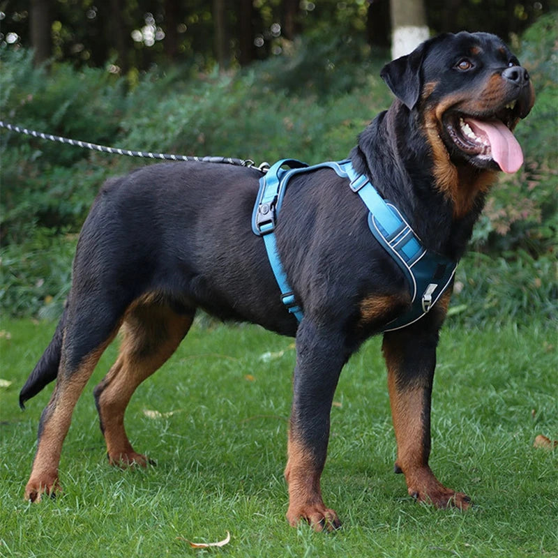 Dog Harness Reflective  Vest Big