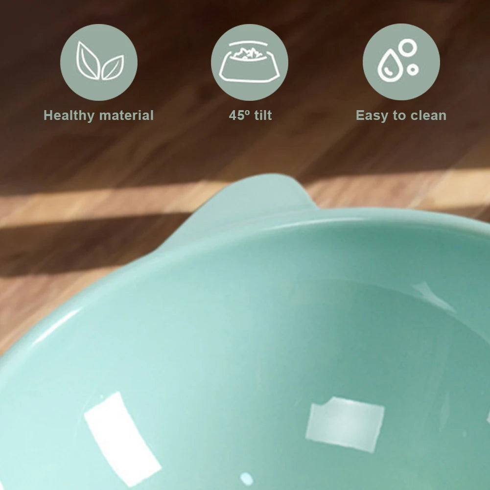 Tilted Cat Food Bowl  Ergonomic Raised