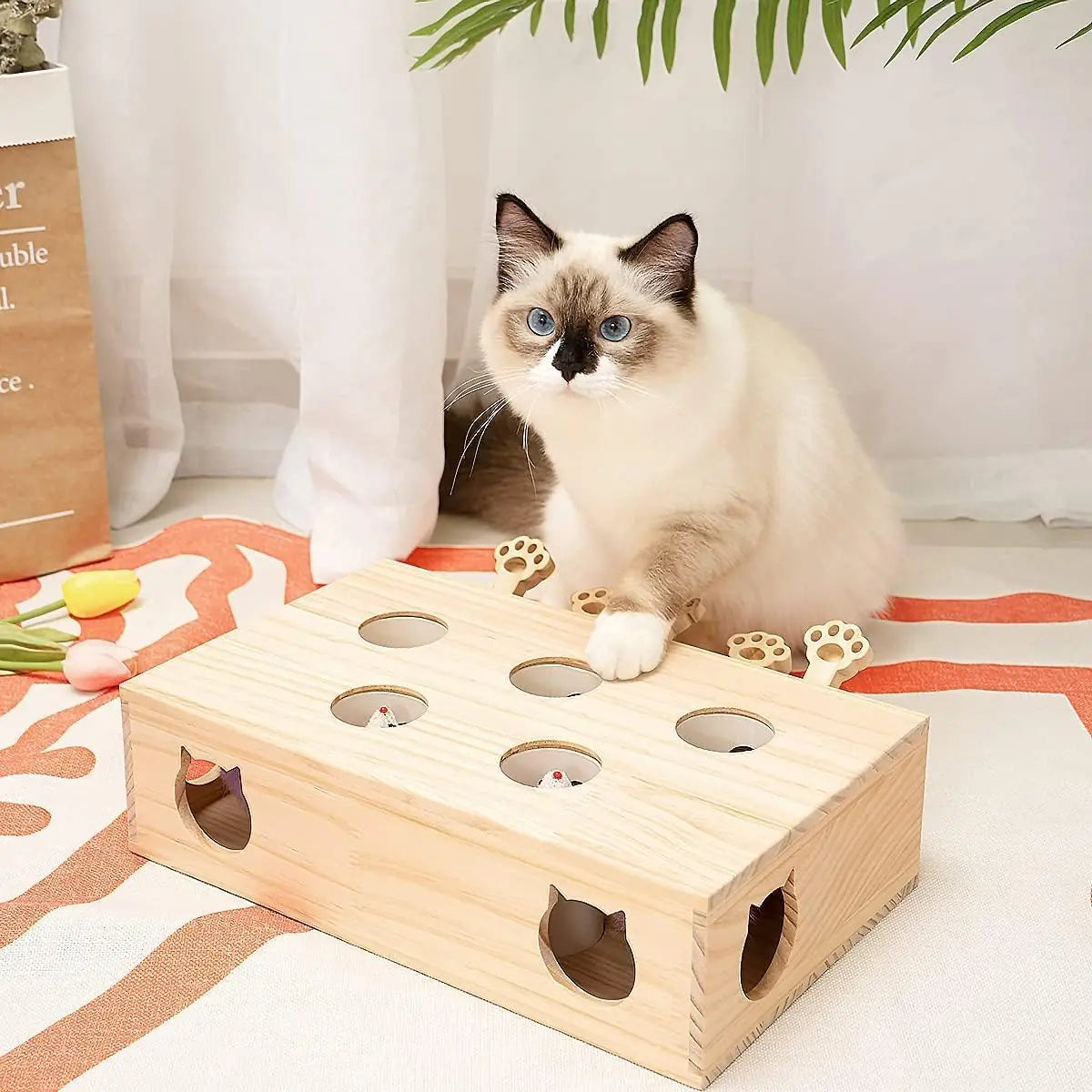 Mewoofun  Whack-a-mole Toys for Indoor Cats Kittens
