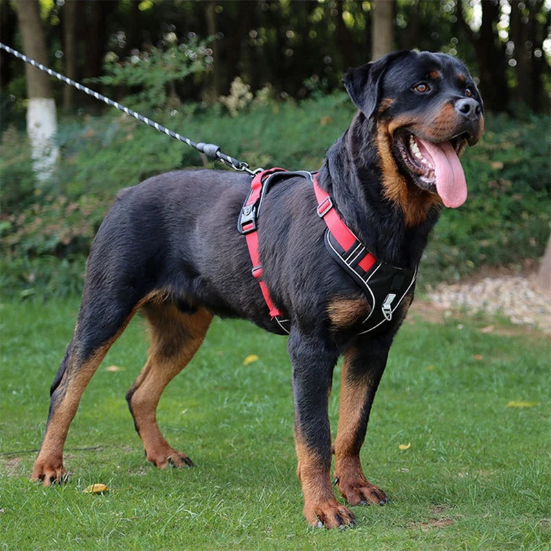 Dog Harness Reflective  Vest Big