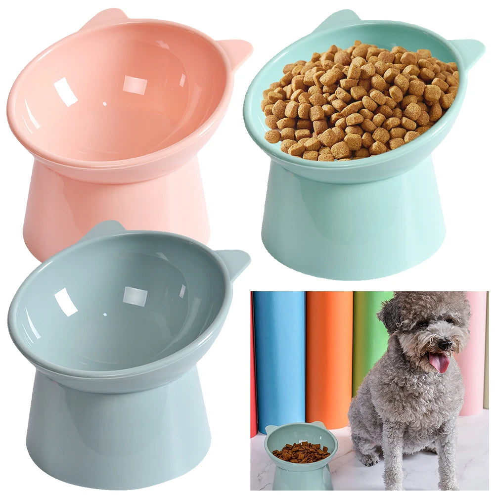 Tilted Cat Food Bowl  Ergonomic Raised