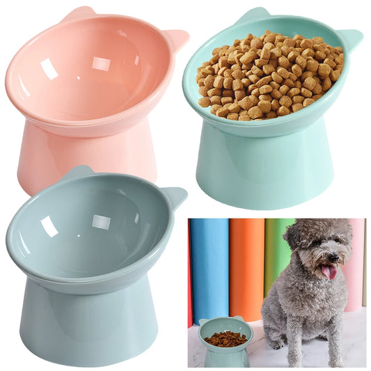 Tilted Cat Food Bowl  Ergonomic Raised