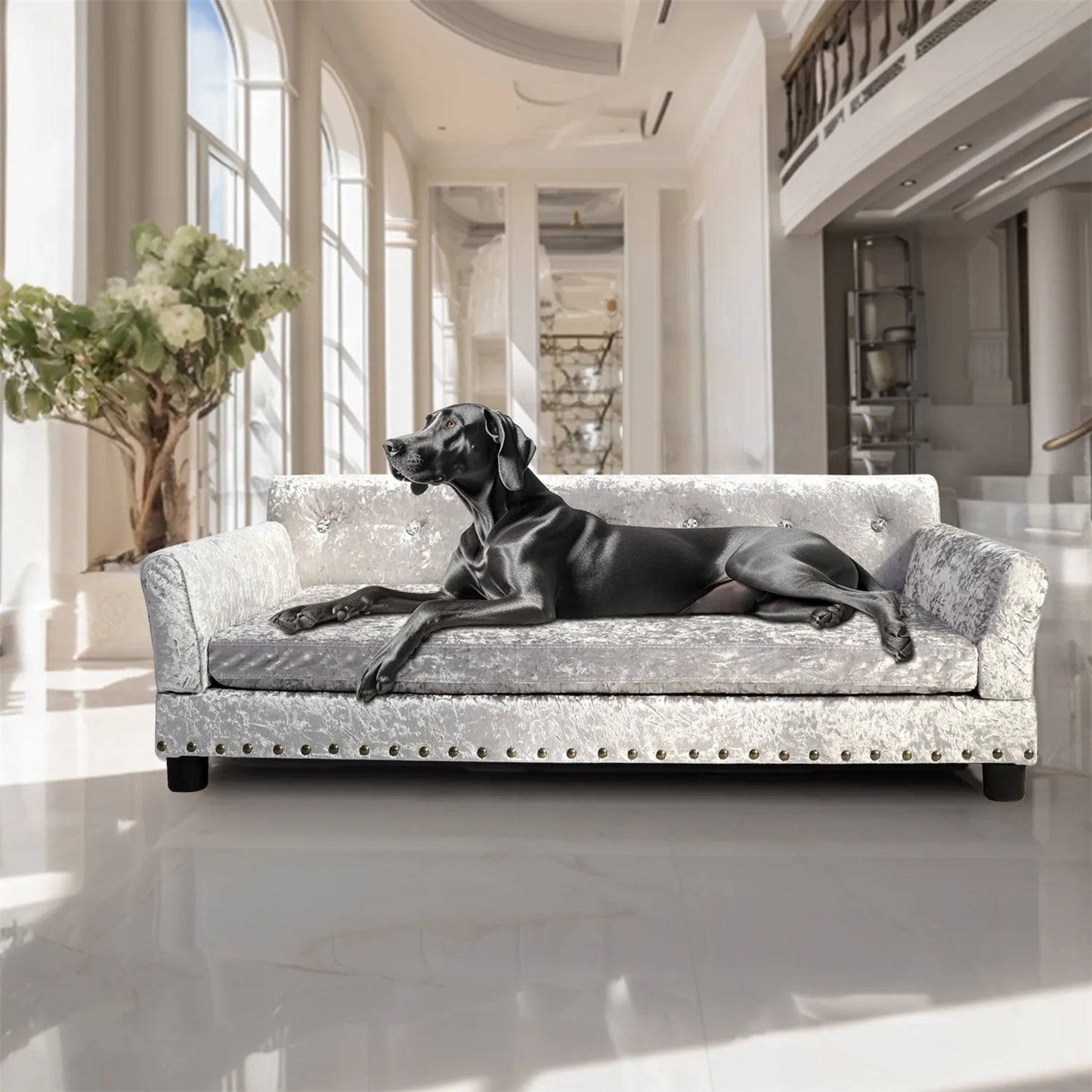 BingoPaw Large Dog Sofa Bed  Jumbo Dog  Velvet -