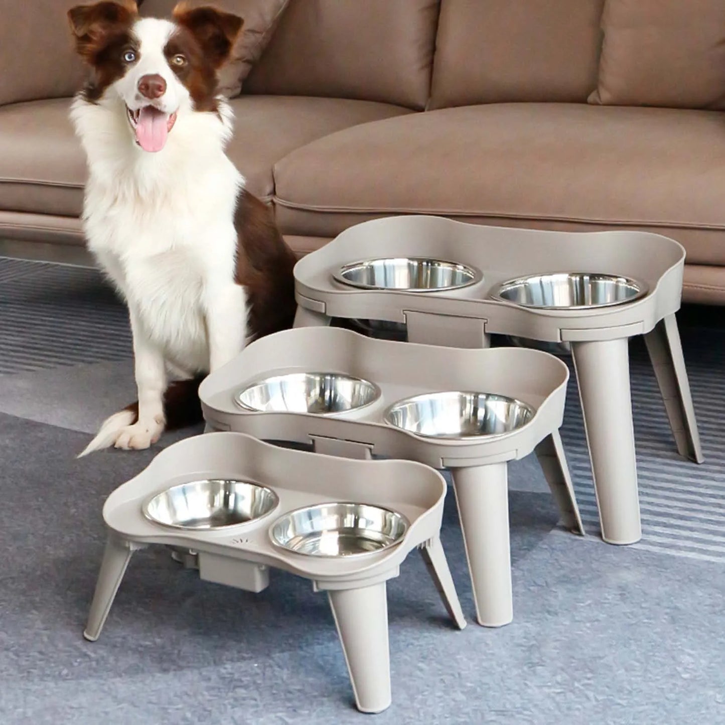 Raised Stand Elevated Feeder Non-Slip and No Spill Design Bowl