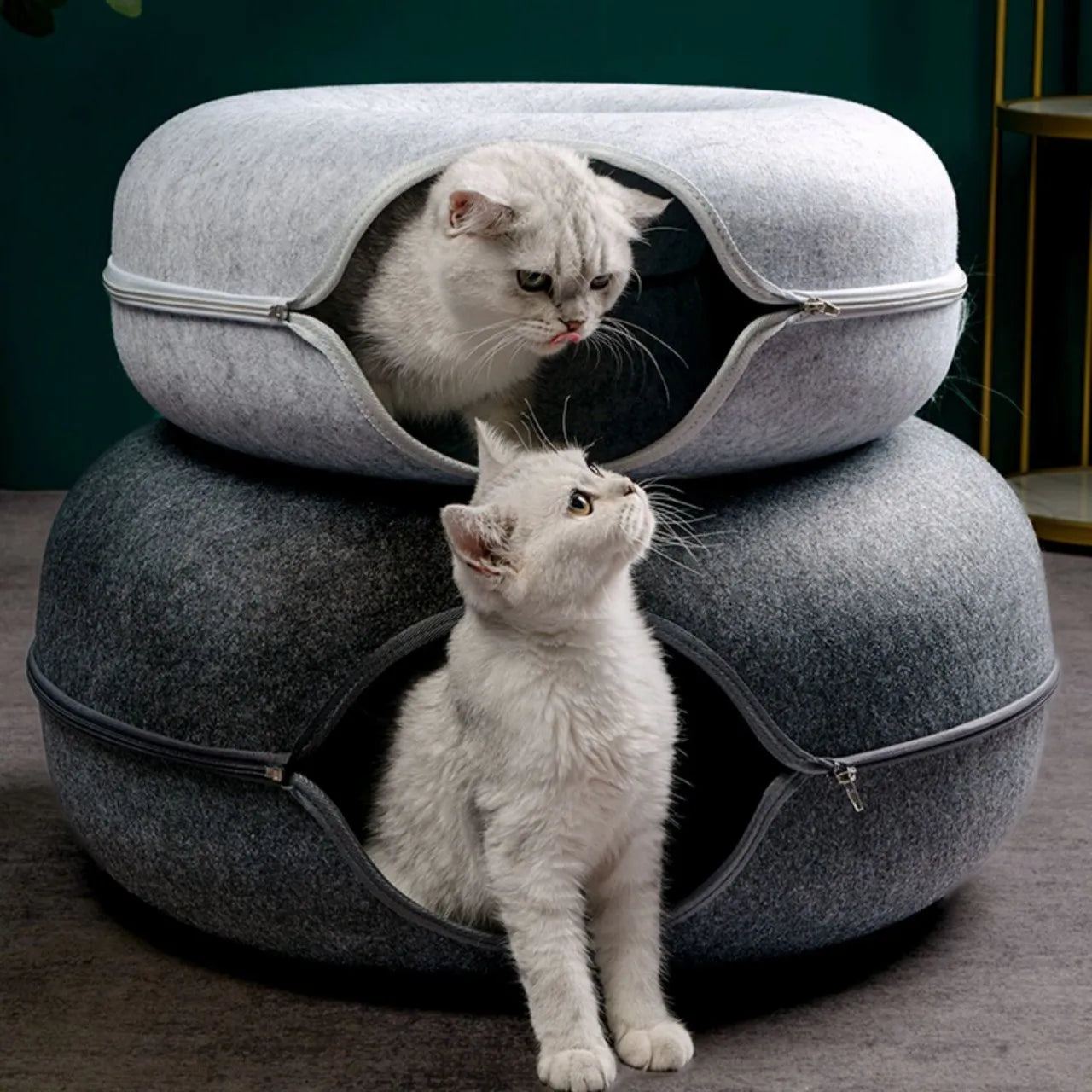 Donut Cat Bed Tunnel , Felt Indoor